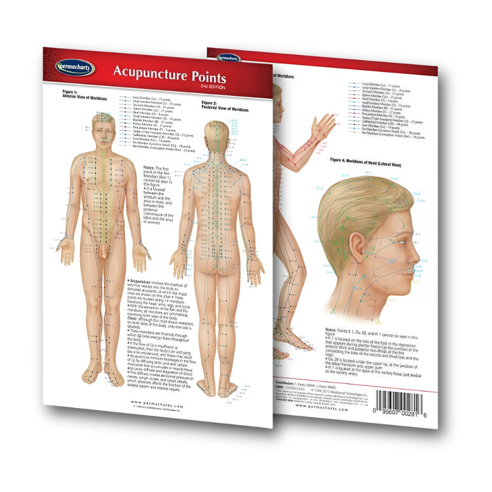 Body Point Map (Digital Edition)
