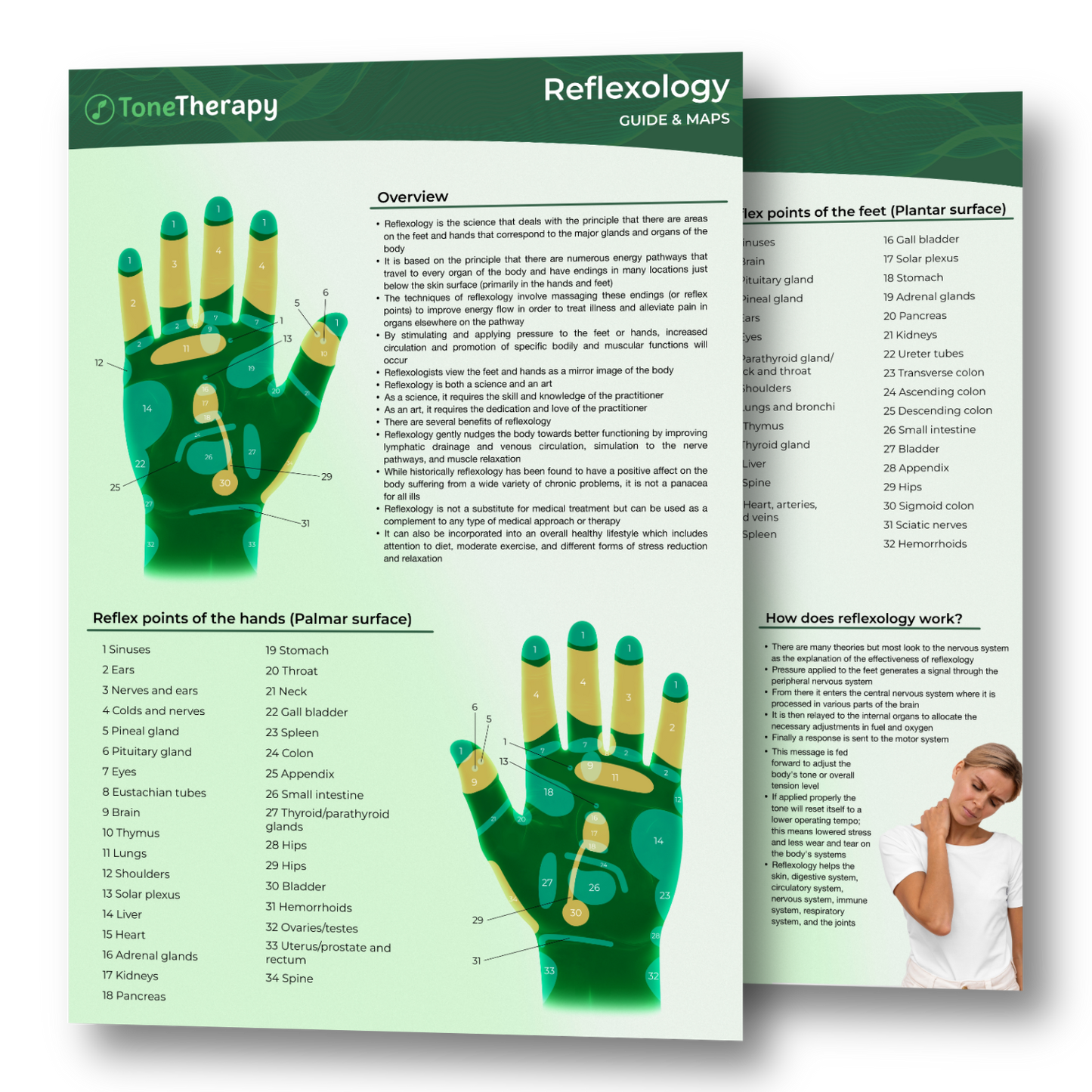 Reflexology Guide & Maps (Digital Edition)
