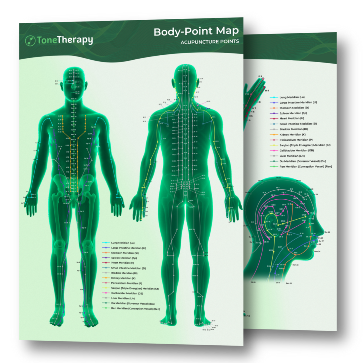 Body Point Logo Body Point Map (Digital Edition) – ToneTherapy